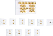 Complete 9.1 Audio Surround Sound Speaker Wall Face Plate kit