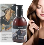 Ginger Shampoo,300Ml Natural Strengthening Smoothing Hair Shampoo for Women | Ha