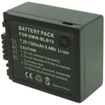Batterie pour PANASONIC LUMIX DMC-G2 - Garantie 1 an