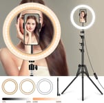 AJH Led Ring Light with Stand and Phone Holder, Camera Photo Video Lighting Kit, 10 Inch Dimmable Halo Light with 3 Color Modes and 10 Brightness