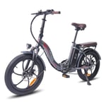 FAFREES F20 Pro - Elcykel - Hjul 20" - Motor 250W - Batteri 36V 18AH - Grå