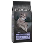 2 x 12 kg viljaton Briantos-koiranruoka erikoishintaan! - Briantos Adult Duck viljaton (2 x 12 kg)