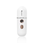 ZPL Beauty Face Aroma Diffuser Hand Sprayer USB Charging12Ml Portable Charging Mode Portable Diffuser Humidifier