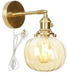 FSLIVING 1-Light Amber Glass Wall Lampshade Plug in On/Off Switch Antique Brass Finish Wall Sconce for Room Light Shade Adjustable (Up or Down) Wall Light,Bulb Not Included