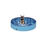 Blå hundpool