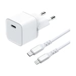 Dacota Platinum 30 W USB-C Gan SnabbladdningsPaket för apple-enheter