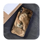 Surprise S For Iphone 11 Lion Male Lovely Design Phone Accessories Case For Iphone 8 7 6 6S Plus 5 5S Se Xr X Xs Max Coque Shell-2-For Iphone 5 5S Se
