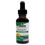 Nature&apos;s Answer Astragalus Root - 30ml
