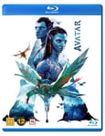 Avatar (Blu-ray) (2 disc)