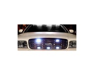 LED Grill Decoration - 24 volt