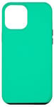 Coque pour iPhone 13 Pro Max Couleur vert caraïbes