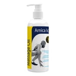 Arnica Ice Physio Massage Oil 100ml | SHORT DATED - EXPIRES 06/24