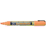 ZIG Illumigraph PMA-510 6mm orange 12st