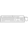 HP E BFR with PVC Free Kit - Tastatur & Mus set