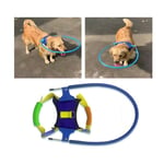 Safety Blind Dog Halo Harness/vest Ring Prevent Collide Wall-pets Neck Chest Uk