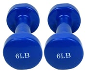 Shengluu Weights Dumbbells Sets Women Cast Iron All-Purpose Color Coded Dumbbells Set For Home Fitness Exercise Barbell Set (Color : 6LB*2)