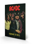 AC/DC (Highway to Hell 40 x 59 cm Impression sur Bois