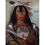 Catlin Buffalo Bulls Back Fat Blood Native American Portrait Art Print Canvas Premium Wall Decor Poster Mural