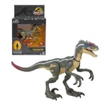 Mattel Jurassic World D Jurassic Park III Dinosaur Figure Male Velociraptor Hammond Collection, Premium Authentic 3.75 Inch Tall Scale 14 Articulated Joints, HLT49