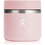 Hydro Flask Insulated Food Jar thermos for food colour Pink 591 ml