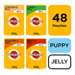 48 X 100g Pedigree Puppy Junior Wet Dog Food Pouches Mixed Selection In Jelly