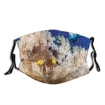 Hicyyu Comfortable Windproof Face cover,Reef with Little Clown Fish and Sharks East Egyptian Red Sea Life Scenery,Printed Facial Decorations for Everyone