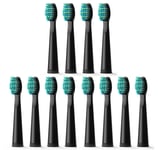 12x Fairywill Sonic Toothbrush Replacement Brush Heads for FW-507 508 959 917