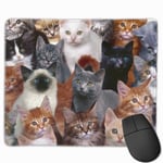 Too Many Cat Funny Mouse Pad Rubber Rectangle Mouse Pad Gaming Mouse Pad Computer Mouse Pad Color Mouse Pad