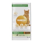 Iams Cat Adult Lamb