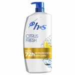 Shampoo Head & Shoulders H&S Citrus Fresh Fedt hår 1 L
