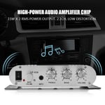 2.1 Stereo Bass Auto Car Home Power Amplifier UK GDS