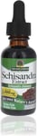 Nature Answer Schisandra Berry 30Ml Extract, Digestion Function Support, Support