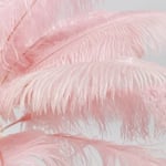 Feather Palm bordslampa rosa