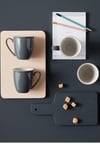 Elements Set of 4 Coffee Beaker/Mugs