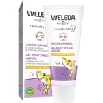 Weleda Graviditets- och babyvård Bebisar & barn Skyddar mot karies, stärker tandemaljenJunior dentalgel med fluor 50 ml (1.040,00 kr / 1 l)