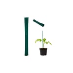 Blompinnar 60 cm i set om 50