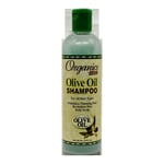 AFRICA'S BEST ORGANICS OLIVE OIL EXTRA VIRGIN SHAMPOO 355ML + PREMIUM DELIVERY