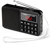 PRUNUS J-429SW Portable Radios Small AM/FM/SW, Rechargeable Radio with Speaker.