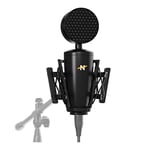 NEAT King Bee II — Microphone à condensateur cardioïde Authentique à Grand diaphragme, avec Support Antichoc et Filtre Anti-Pop pour l'enregistrement Vocal, Le Podcast, Le Streaming, Sortie XLR