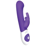 Vibrator Dildo Clit G Spot Rabbit Womens Sex Toys Multi Function Bunny Vibe