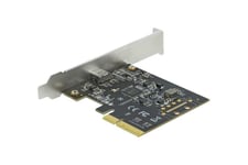 Delock - USB-adapter - PCIe 3.0 x4 - USB 3.2 Gen 2x2 x 1