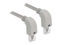 Delock - Patch-Kabel - Rj-45 (Hane) Vinklad Nedåt Till Rj-45 (Hane) Vinklad Nedåt - 2 M - S/Ftp - Cat 6A - Startad, Halogenfri - Grå