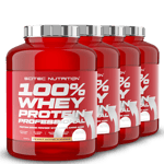 4 x 100% Whey Protein Professional, 2350 g, BIG BUY