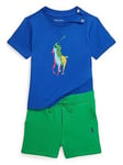 Ralph Lauren Baby Boys Large Pony T-shirt & Short Set - Sapphire Star, Multi, Size 3 Months
