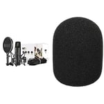 RØDE NT1 Large-diaphragm Cardioid Condenser Microphone with Shock Mount & Pop Filter for Music Production, Vocal Recording, Streaming and Podcasting & WS2 Pop Filter Wind Shield