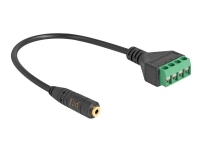 Delock - Audio-adapter - 2.5 mm 4-pin stereo jack hona till 4 stifts terminalblock - 20 cm - svart - tvinnad, 2.54 mm pitch, stripped ends
