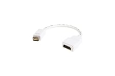 StarTech.com Mini DVI to HDMI Video Adapter for Macbooks and iMacs- M/F - MacBook Mini DVI Adapter - Mini DVI to HDMI Cable (MDVIHDMIMF) - videoadapter - HDMI / DVI - 20 cm