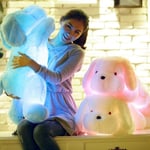 80/50/30 Cm Färgglad Lysande Teddy Hund Led Ljus Plysch Kudde Barnleksaker Gosedjur Docka Födelsedagspresent till barn Blue Blue 50cm
