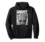 Marvel Guardians Vol. 2 Baby Groot Close-Up Sweat à Capuche