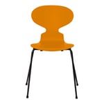 Fritz Hansen - Myran 3101 lackad bokfanér stålstativ svart burnt yellow - Matstolar - Arne Jacobsen - Gul - Metall/Trä